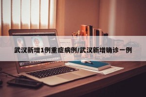 武汉新增1例重症病例/武汉新增确诊一例