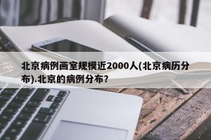 北京病例画室规模近2000人(北京病历分布).北京的病例分布？