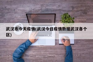 武汉市今天疫情(武汉今日疫情数据武汉各个区)