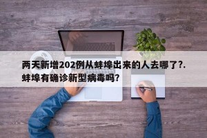 两天新增202例从蚌埠出来的人去哪了?.蚌埠有确诊新型病毒吗？